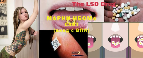 mdma Богородицк